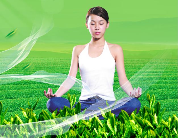办理假南阿肯色大学文凭毕业证